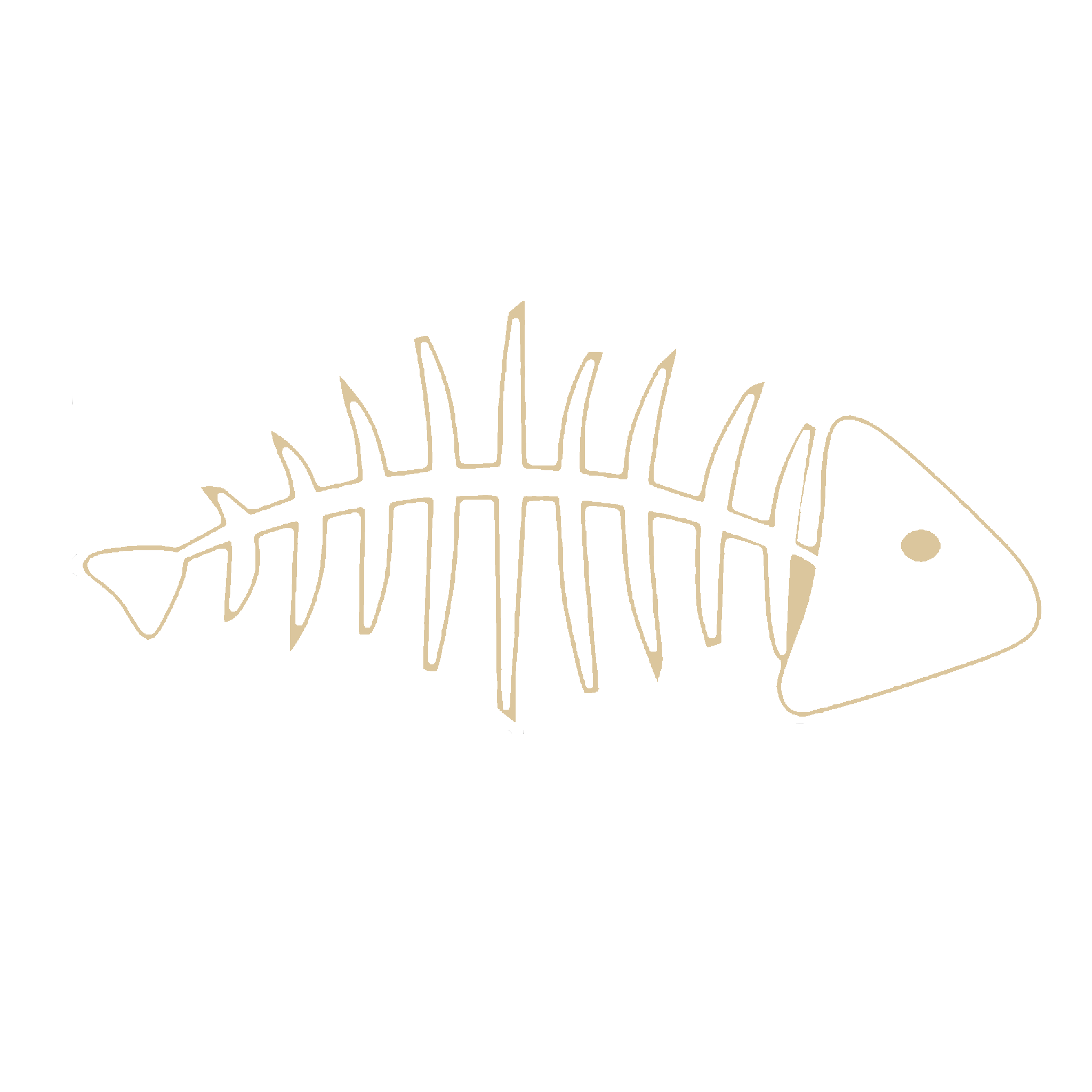 Mystery Fish Pin